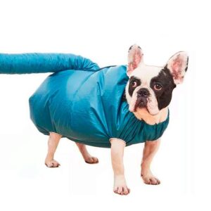 Saco Capa  Secagem Rapida Animais Petshop Secador Pelo Pet L
