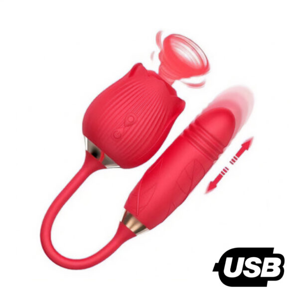 Vibrador PontoG Clitóris Vai e Vem Formato Rosa USB Vermelho