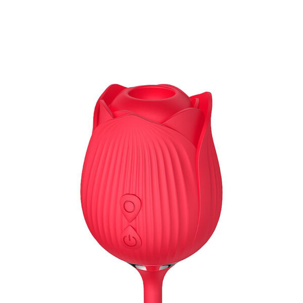 Vibrador PontoG Clitóris Vai e Vem Formato Rosa USB Vermelho - Imagem 6